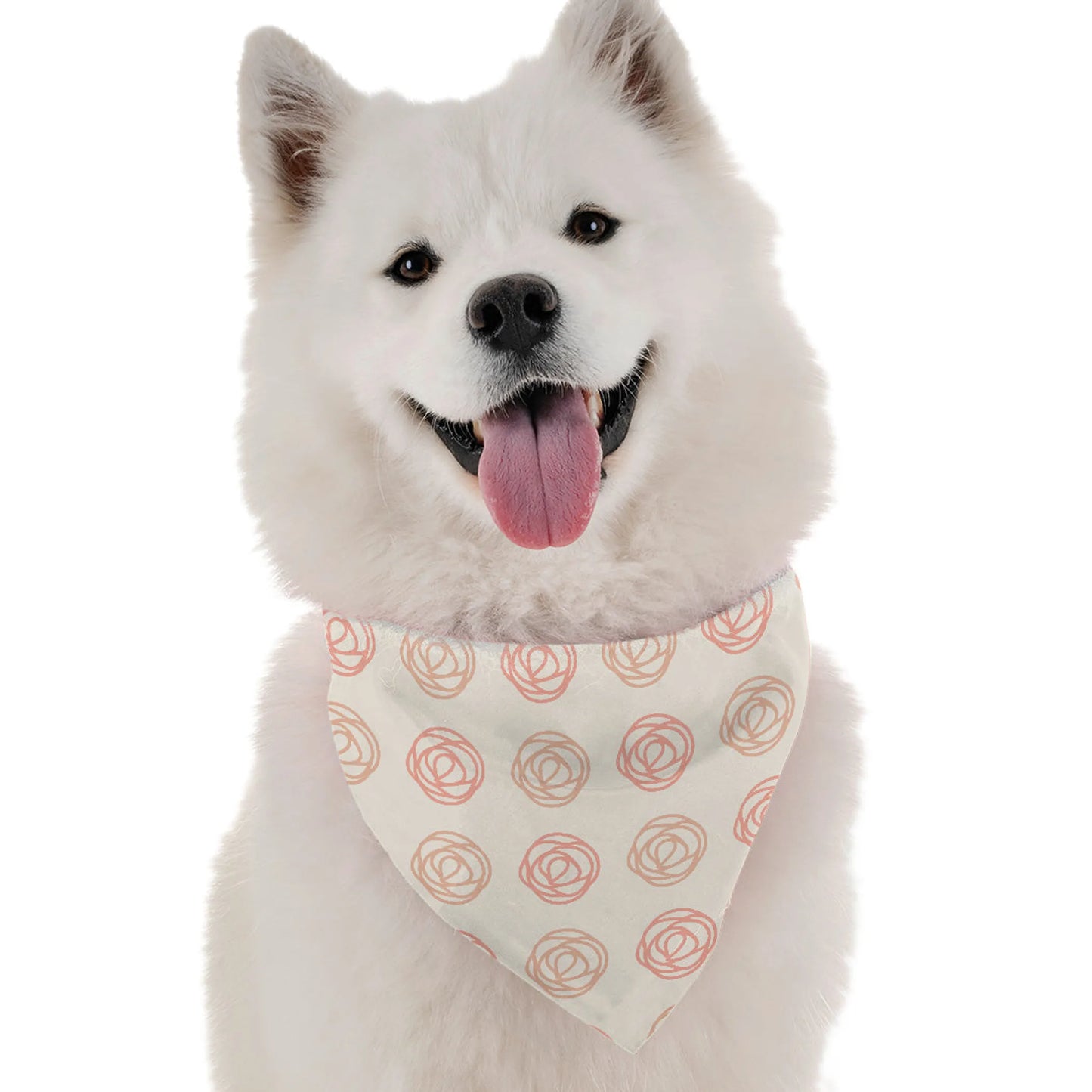 Haven Coastal Dog Bandana by Bandoggies