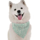 Argan Earthy Dog Bandana by Bandoggies