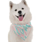 BanDoggie Maya Dog Bandana