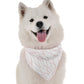 Willow Dog Bandana by Bandoggies