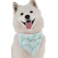 BanDoggie Lyla Dog Bandana - Soft Microfiber, Made in USA