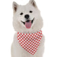 BanDoggie Picnic Dog Bandana - Fun Outdoor Adventure Design