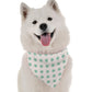 You're a Star Dog Bandana by Bandoggies