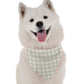 Sweetie Heart Dog Bandana by Bandoggies