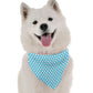 Splash Dog Bandana by BanDoggie