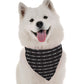 Reva Geometric Dog Bandana by Bandoggies