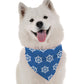 El Capitan Mountain Dog Bandana by Bandoggies