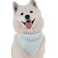 BanDoggie Springy Dog Bandana