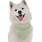 Terra Earth-Tone Dog Bandana by Bandoggies
