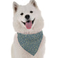 Constellate Celestial Dog Bandana by Bandoggies