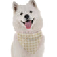 BanDoggie Belle Dog Bandana - Contemporary Chic Design