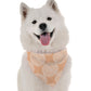 BanDoggie Aria Dog Bandana - Contemporary Elegant Design