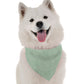 Eden Dog Bandana by BanDoggie