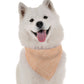 BanDoggie Ella Dog Bandana - Soft Microfiber, Made in USA