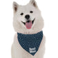 BanDoggie Best Man Dog Bandana - Wedding Celebration Style