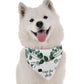 Save the Date Dog Bandana by Bandoggies