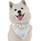 BanDoggie I Do Too Girl Dog Bandana - Wedding Celebration