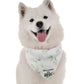 BanDoggie Here Comes the Bride Dog Bandana - Wedding Celebration Style