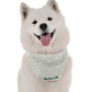 Dog of Honor Wedding Dog Bandana by Bandoggies