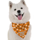 Employee of the Month Dog Bandana by Bandoggies