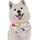 Let's Pawty Girl Dog Bandana by Bandoggies