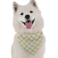 Cove Ocean Dog Bandana by Bandoggies
