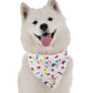 BanDoggie Where's My Cake? Girl Dog Bandana