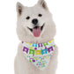 BanDoggie Happy Birthday To Me Boy Dog Bandana - Birthday Microfiber, USA Made