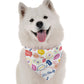 Let's Pawty Boy Dog Bandana by Bandoggies