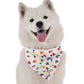 BanDoggie Where's My Cake Boy Dog Bandana - Birthday Microfiber, USA Made