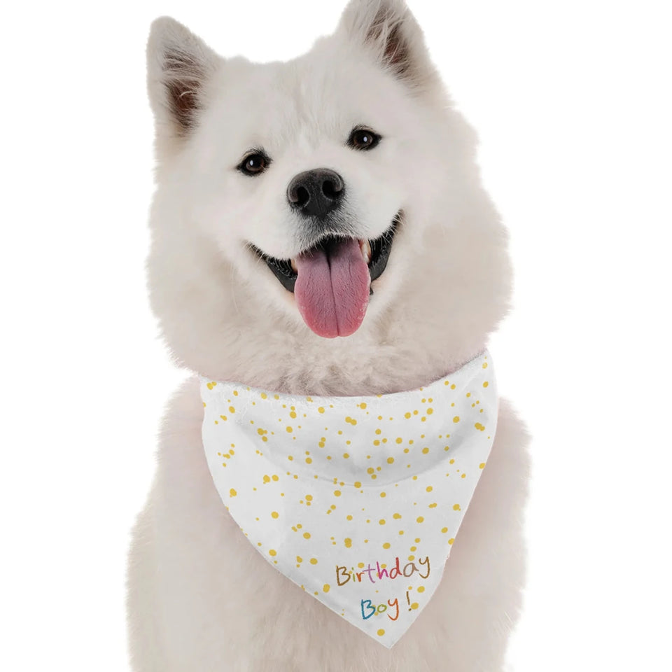 Birthday Boy Dog Bandana by Bandoggies - Pets Perfect