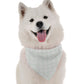 BanDoggie Athena Dog Bandana - Contemporary Elegant Design