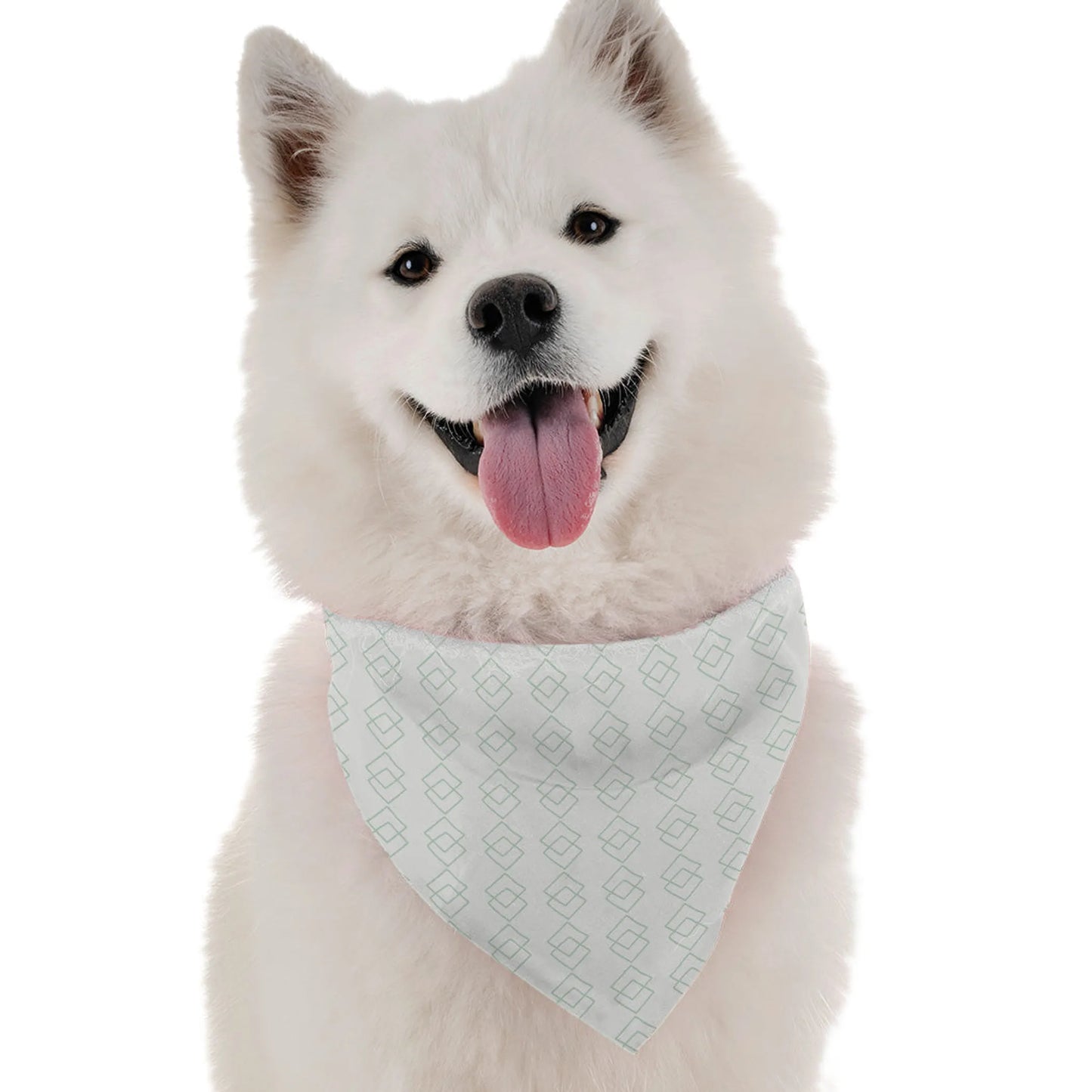 BanDoggie Athena Dog Bandana - Contemporary Elegant Design