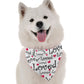 Loved Dog Bandana by Bandoggies