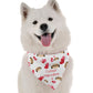 BanDoggie Cutest Valentine Dog Bandana - Soft Microfiber Pet Bandana, Made in USA