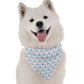 BanDoggie Indy Dog Bandana - Soft Microfiber, USA Made