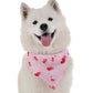Be Mine Valentine's Dog Bandana | BanDoggie