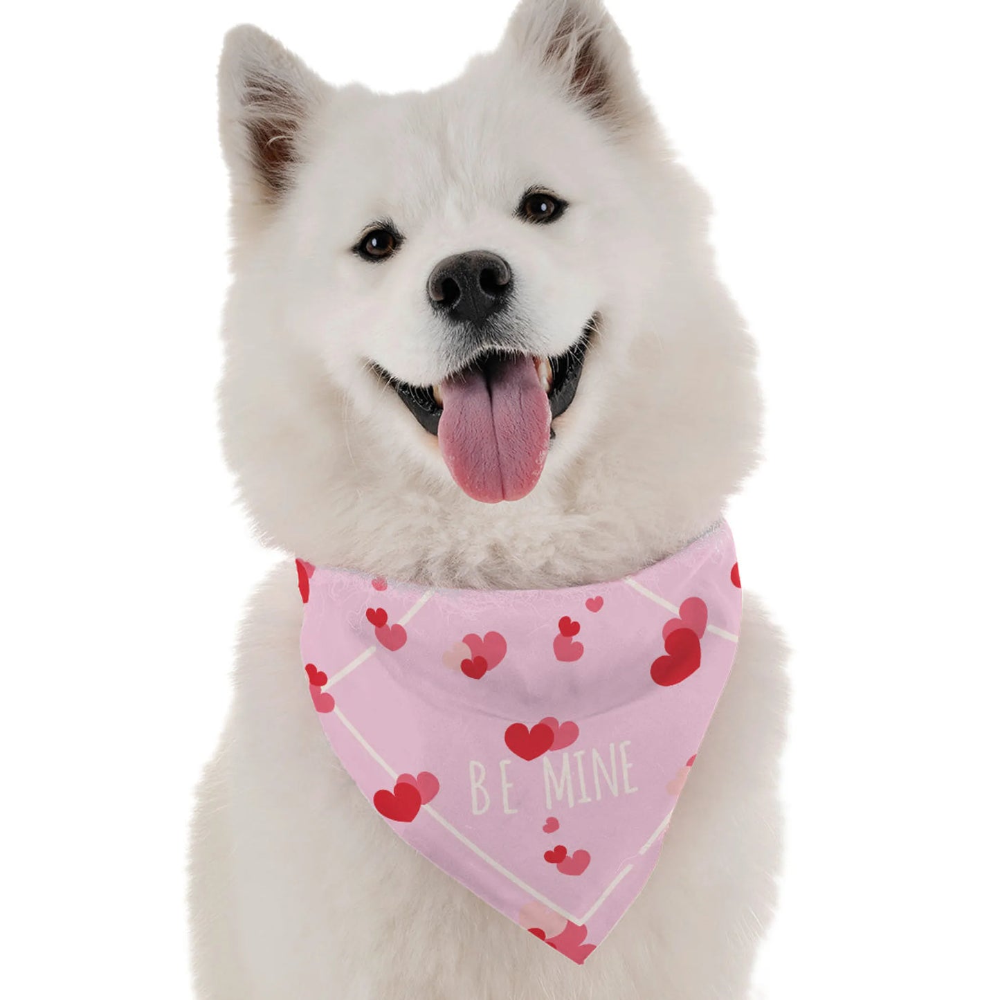 Be Mine Valentine's Dog Bandana | BanDoggie