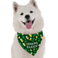 Drinking Buddy Dog Bandana by Bandoggies