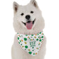 Boop Me I'm Irish Dog Bandana by BanDoggie
