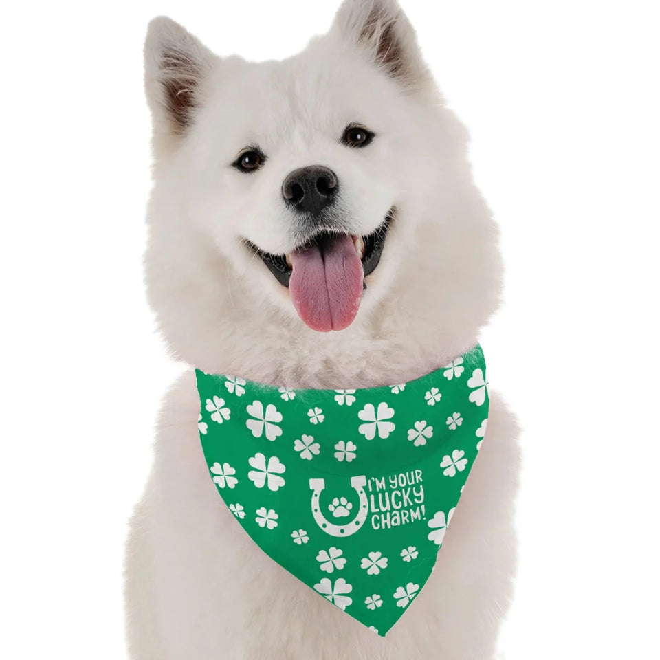 BanDoggie I'm Your Lucky Charm St. Patrick's Day Dog Bandana - Soft Microfiber, Made in USA - Pets Perfect