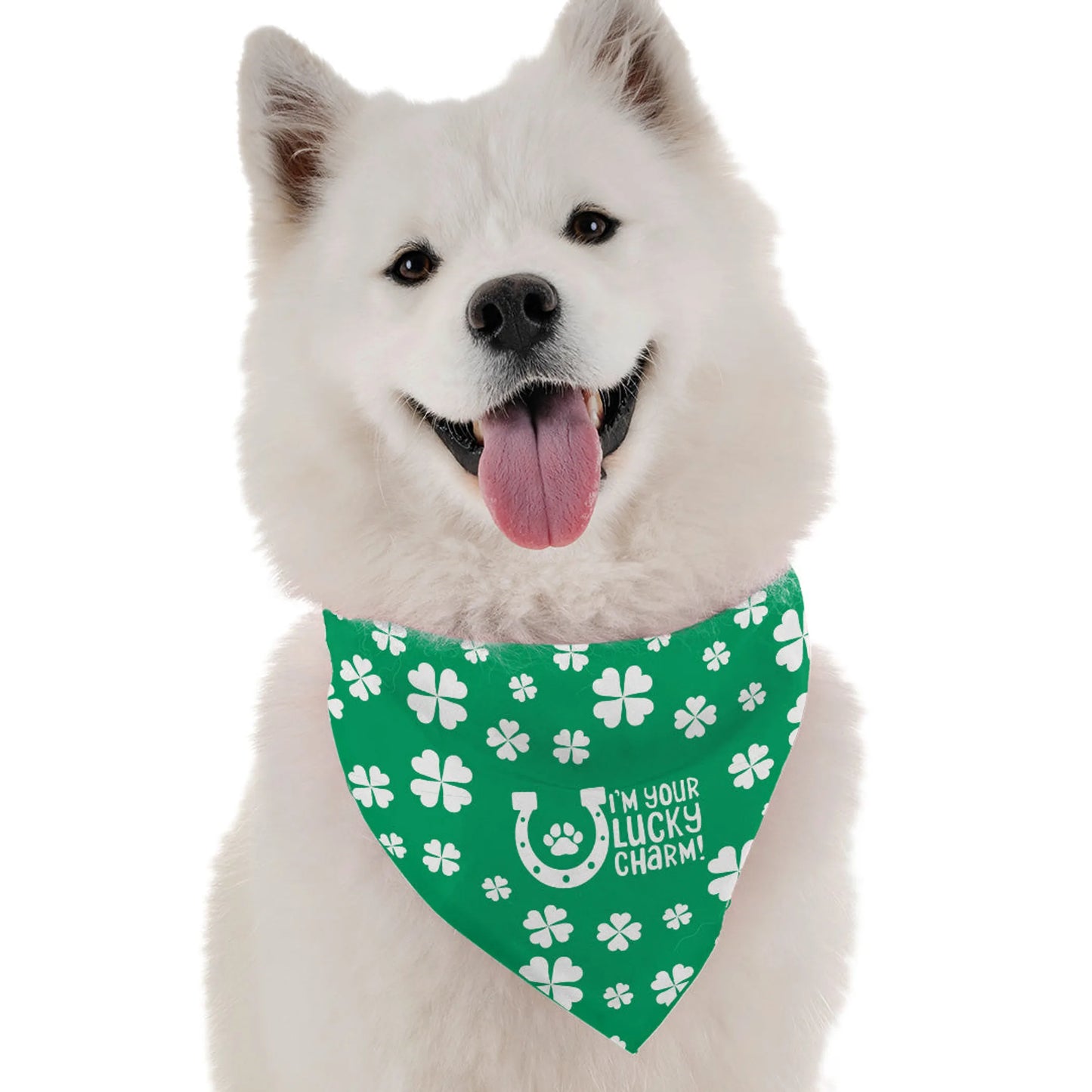 BanDoggie I'm Your Lucky Charm St. Patrick's Day Dog Bandana - Soft Microfiber, Made in USA