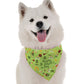 Happy St. Patrick's Day Dog Bandana by BanDoggie