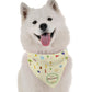 Happy PAWssover Dog Bandana by BanDoggie