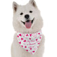 BanDoggie My Mom is Obsessed with Me Funny Dog Bandana