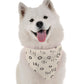 BanDoggie Peri Dog Bandana - Contemporary Elegant Design