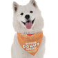 Official Donut Tester Dog Bandana by BanDoggies