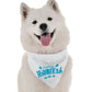 Happy Hanukkah Dog Bandana by BanDoggie