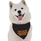 This is My Halloween Costume Dog Bandana by BanDoggie