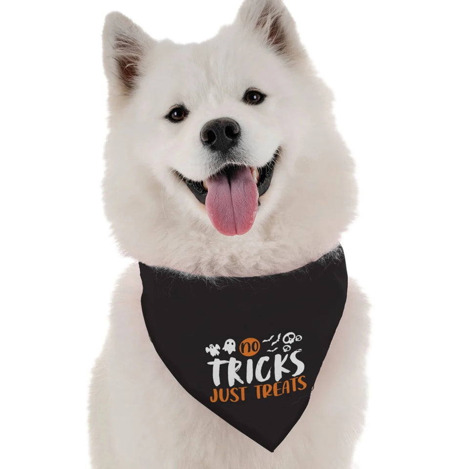 No Tricks, Just Dog Treats - Pets Perfect